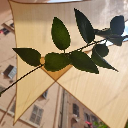 Lapo'S Apartment'S Roma Dış mekan fotoğraf